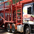 Repairs and body building